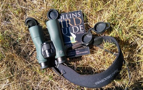 Swarovski NL Pure – the Sexiest Binoculars Ever - 10,000 Birds