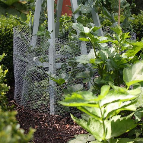 Chicken Wire - Harrod Horticultural (UK)