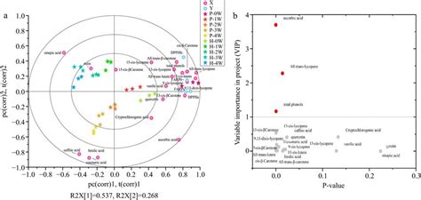 A The Pls Biplot Shows The Correlation Of The Antioxidant Compounds Download Scientific