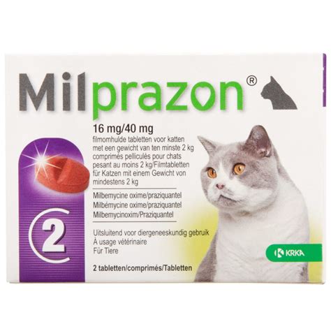 Milprazon Anwendung Effektive Entwurmung F R Hunde Und Katzen