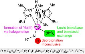 Potential Precursors For Terminal Ytterbium Ii Imide Complexes Bearing