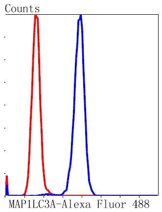 Map Lc A Rabbit Mab Sab Signalway Antibody