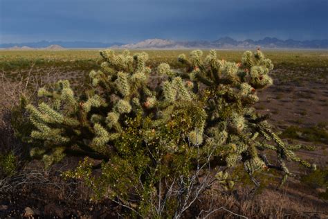 The border: A history - History and hiking in the Southwest.