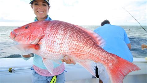 Offshore Fishing Louisiana Oil Rigs For Bull Redfish And Big Red