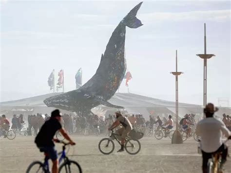 What Is Billionaires Row At Burning Man Business Insider India