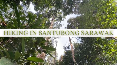 Hike With Me ASMR Gunung Santubong Kuching Sarawak Alena Murang