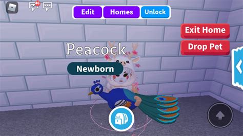 What should I name my Peacock? 🤔 : r/adoptmeroblox