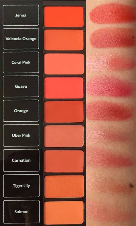 Bobbi Brown Artist Pallet For Lips Swatches 3 6 Lip Swatches Bobbi Brown Swatch