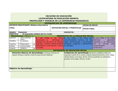 Formato Para La Proyecci N Y Vivencia De La Experiencia Pedag Gica