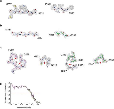 Cryo Em Density Map And Atomic Model Comparisons Ac Views Of The