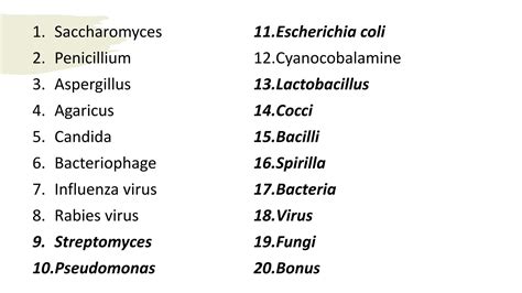 Commonly Used Microbes In Biotechnology Pptx