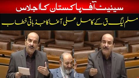 PMLQ Kamil Ali Agha Emotional Speech On Mini Budget In Senate Of