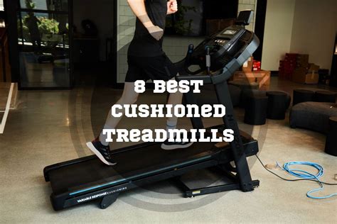 8 Best Cushioned Treadmills in 2024 – Torokhtiy Weightlifting