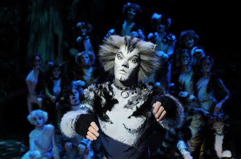 Image - Munkustrap Ben Palmer Cats Musical UK Tour.jpg | 'Cats' Musical ...