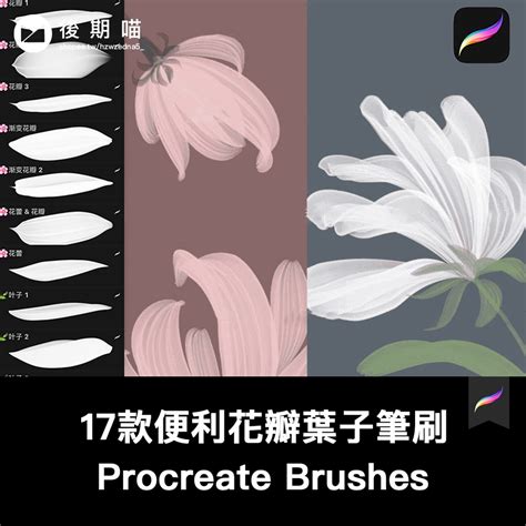 Procreate筆刷17枚花瓣花卉花蕾葉子便利筆刷 Ipad一鍵導入 蝦皮購物