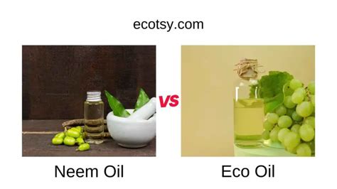 The Battle Of The Oils Eco Oil Vs Neem Oil Ecotsy