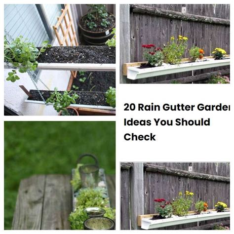 20 Rain Gutter Garden Ideas You Should Check SharonSable