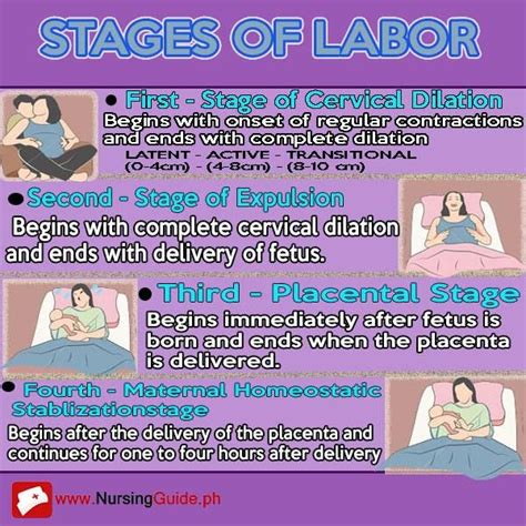 Stages Of Labor Postpartum Nursing Nursing Assessment