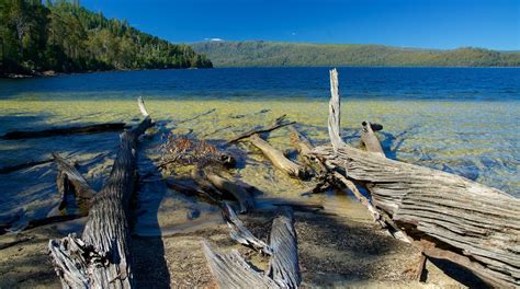 Cradle Mountain-Lake St. Clair National Park Tours - Book Now | Expedia