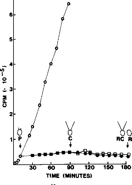 Figure 1 From Reversal Of The Posttranslational Modification On