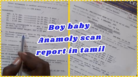 Boy Baby Anomaly Scan Report In Tamil Anamoly Scan Detailed Report In