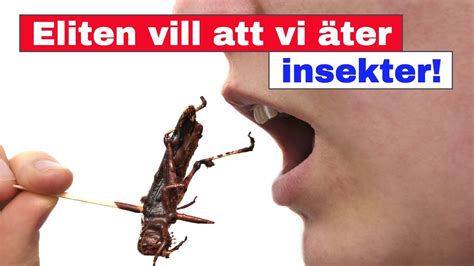 Eliten vill att vi ÄTER INSEKTER YouTube