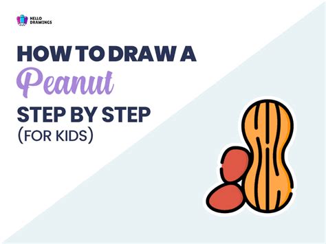 How To Draw A Peanut In (5) Easy Steps For Kids