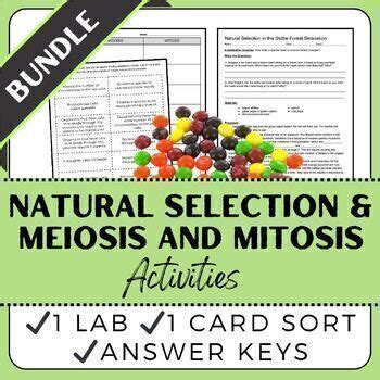 Natural Selection Lab Mitosis And Meiosis Card Sort Bundle Tpt