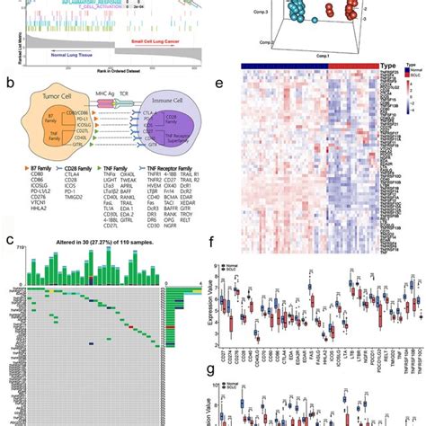 The Molecular Landscape Of Costimulatory Molecules In Patients With