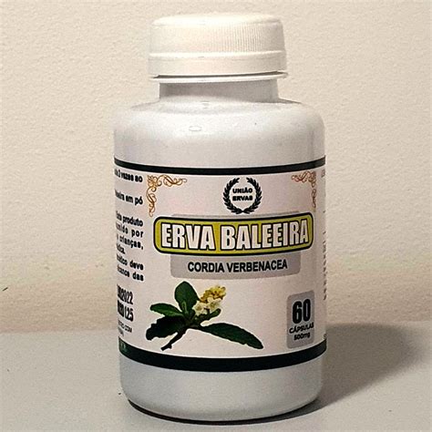 Erva Baleeira 500mg 60 Cápsulas LauryNaturais