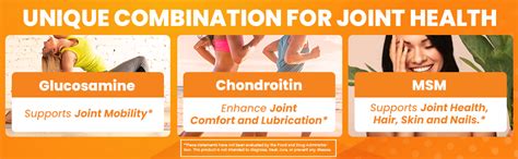 Amazon.com: Doctor's Best Glucosamine Chondroitin Msm with OptiMSM ...