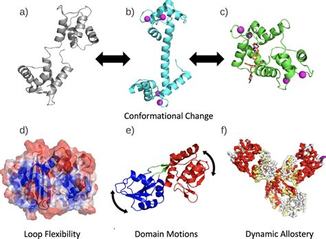 Examples Of Protein Functional Dynamics In A C Three Critical