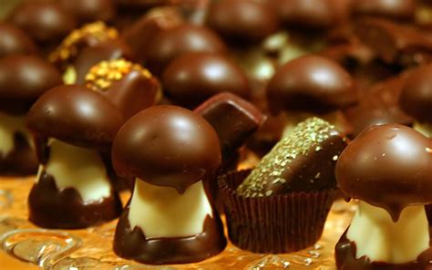 How To Make Magic Mushroom Chocolates The Fun Guys