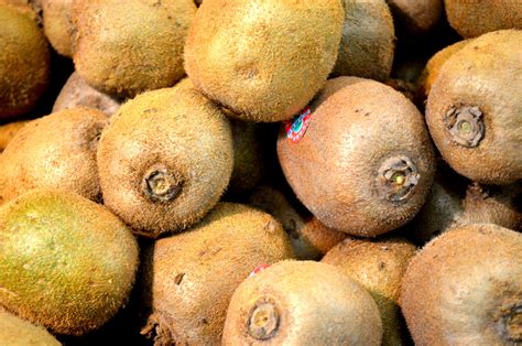 Kiwi Fruit Free Stock Photo Public Domain Pictures