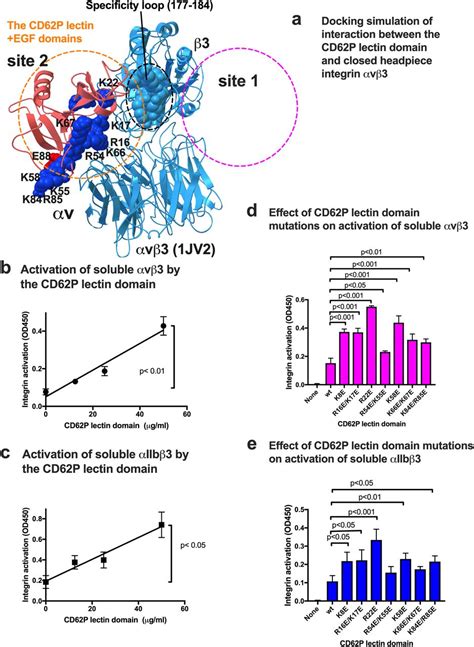 The C Type Lectin Domain Of Cd P P Selectin Functions As An Integrin