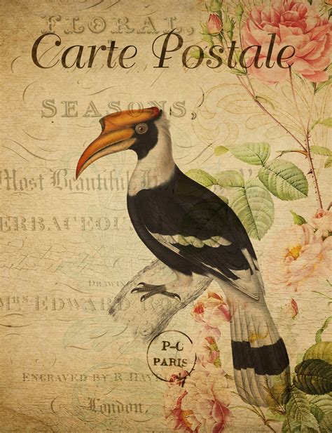 Bird Vintage Floral Postcard Free Stock Photo Public Domain Pictures