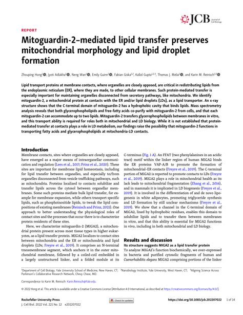 Pdf Mitoguardin 2 Mediated Lipid Transfer Preserves Mitochondrial