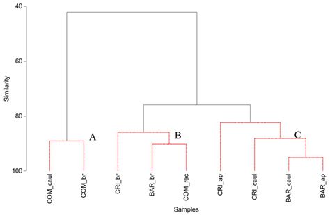 Dendrogram Derived From Hierarchical Agglomerative Clustering With