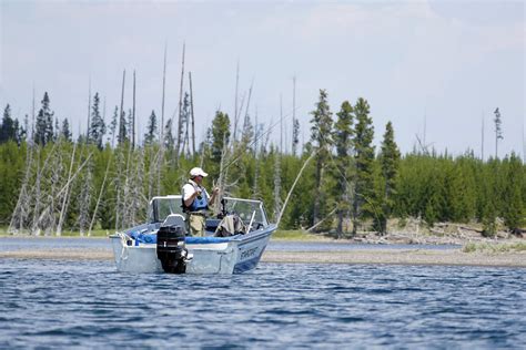 Tips for a Perfect Yellowstone Fishing Trip