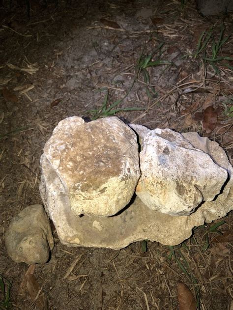 American Indian Stone Carvings Effigies Believe To Be A Male In His