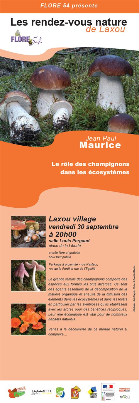 62 Rendez vous Nature de Laxou Le rôle des champignons dans les