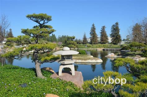 10 BEST Attractions at Japanese Garden Los Angeles - CityBOP