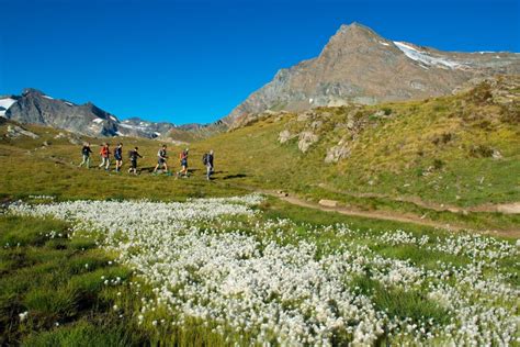 Oltre Escursioni Gratuite Con Le Guide Del Parco Nazionale Gran