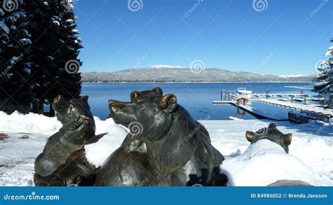 Mccall Idaho Payette Lake Bears Stock Photo Image Of Lake Bears