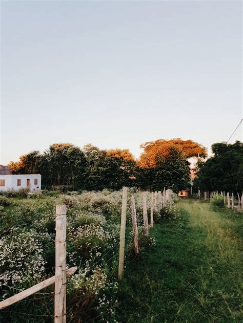 100000 Best Wood Fence Photos · 100 Free Download · Pexels Stock Photos