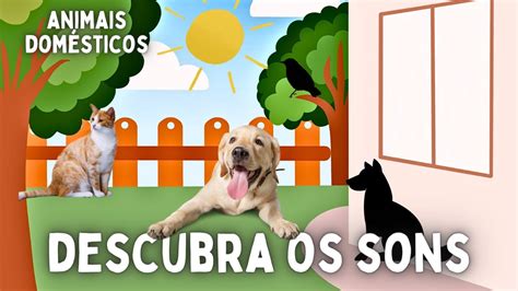 Sons Dos Animais Aprender O Som Dos Animais Em Português Animais