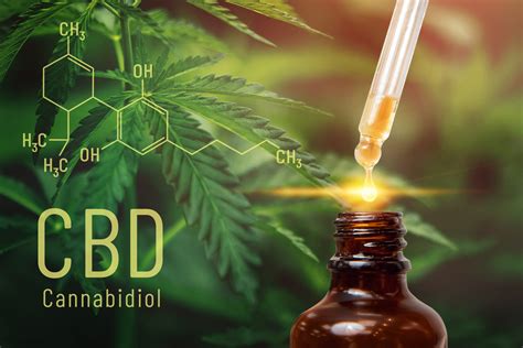 Rethink Cbd Rethink Cannabis For Life