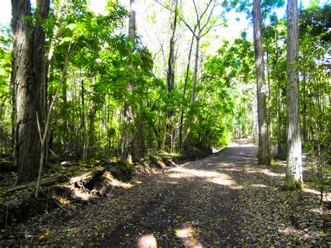 Hiking the Koloiki Ridge Trail in Lanai