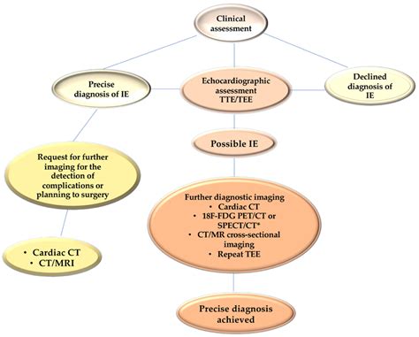 Microorganisms Free Full Text Bridging Molecular And Clinical