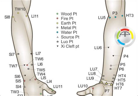 Acupuncture Charts Point Acupuncture Acupuncture For Weight Loss